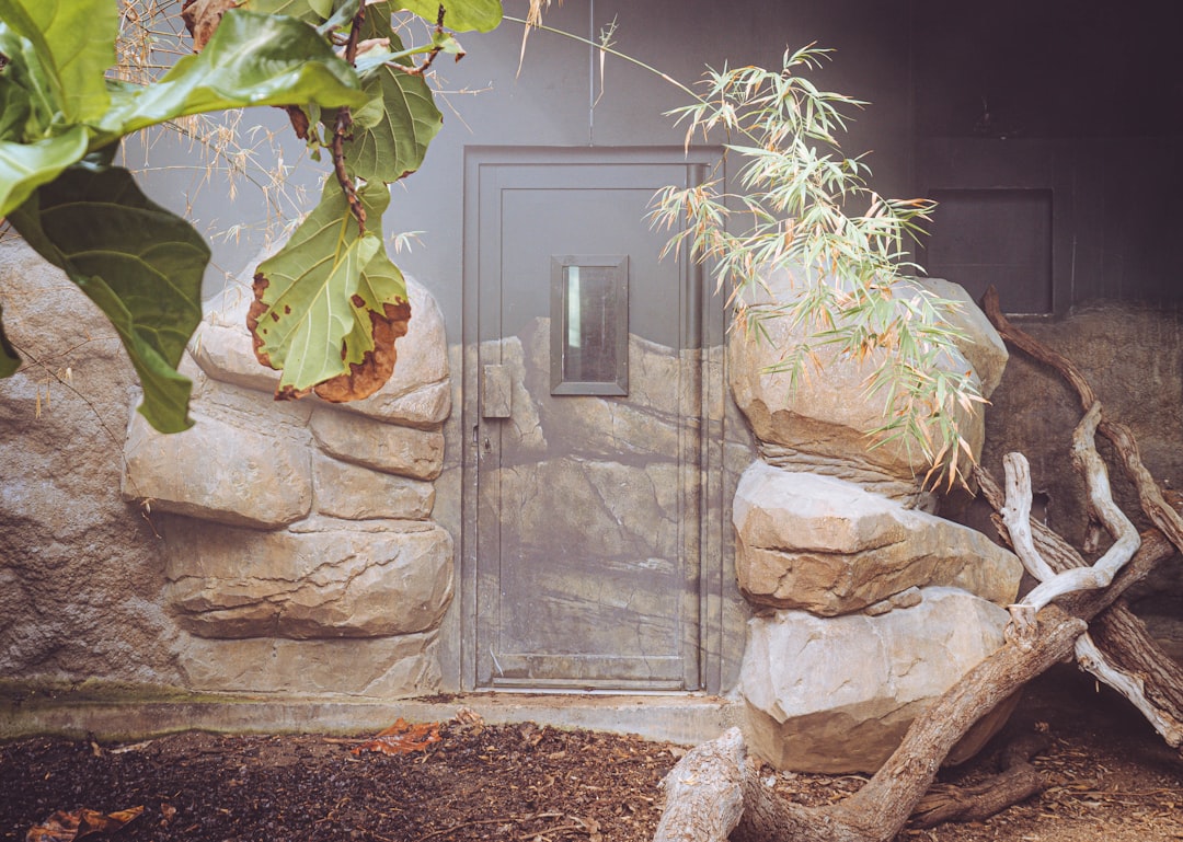 How to build a custom PVC reptile enclosure hero image