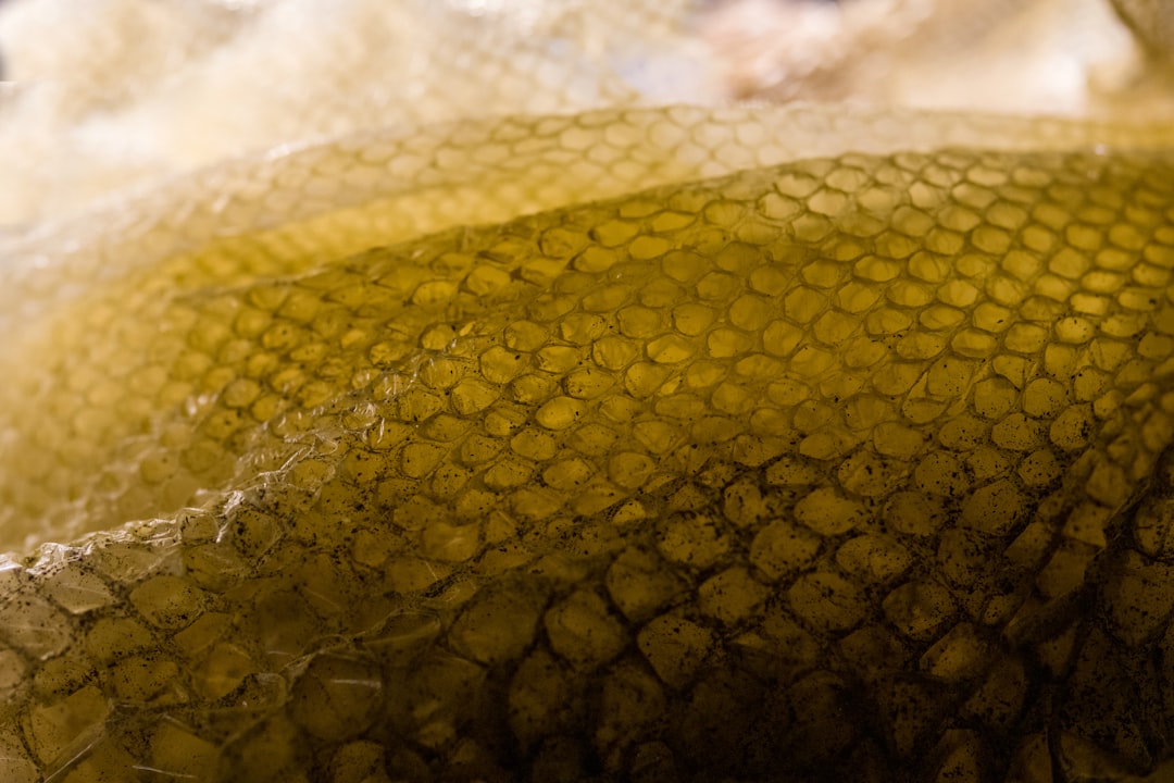 Understanding reptile shedding across species hero image