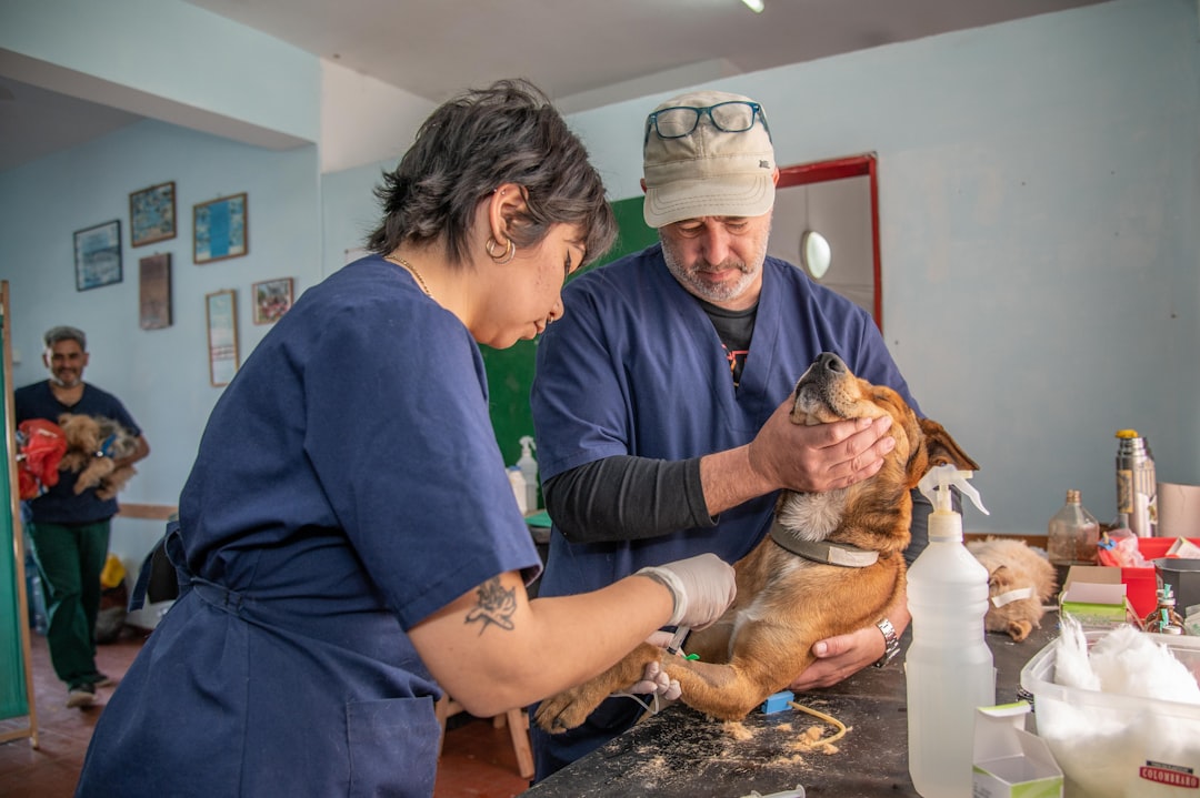 Reptile health care and parasite treatment supplies